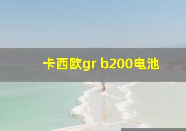 卡西欧gr b200电池